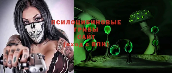 сатива Каменка