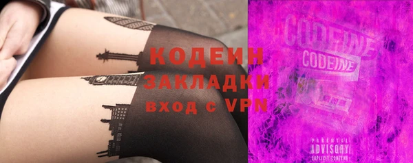 сатива Каменка