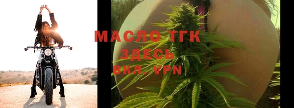сатива Каменка