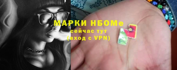 сатива Каменка