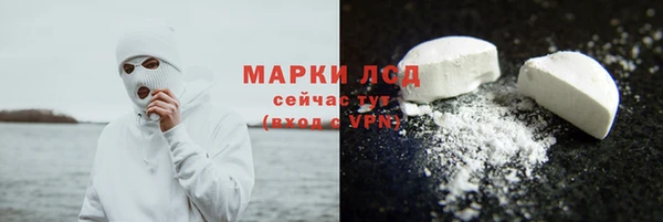сатива Каменка