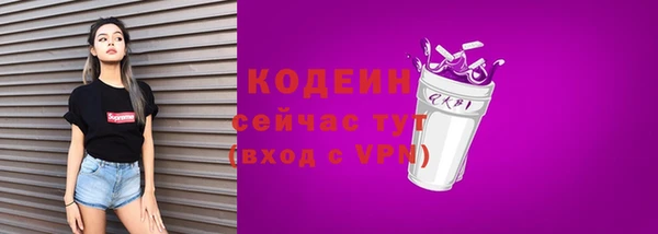 сатива Каменка