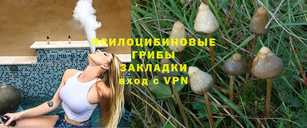 сатива Каменка