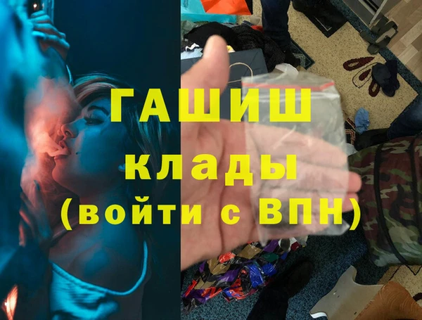 сатива Каменка