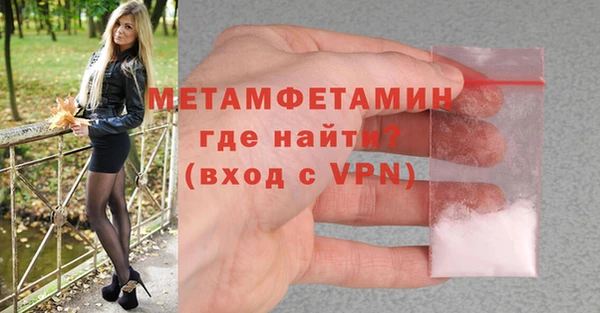 сатива Каменка