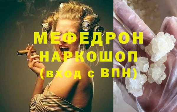 сатива Каменка