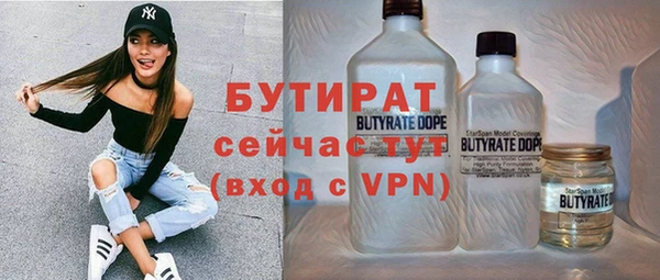 сатива Каменка