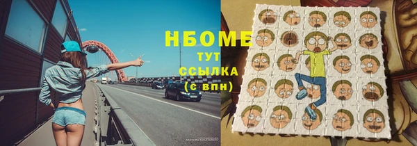 сатива Каменка