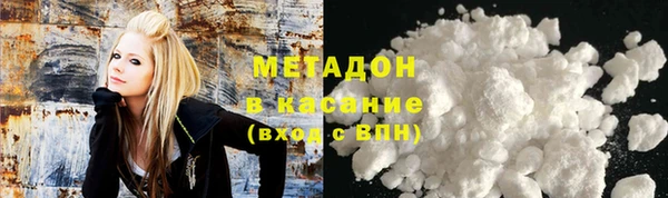сатива Каменка