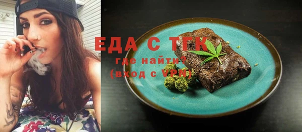 сатива Каменка