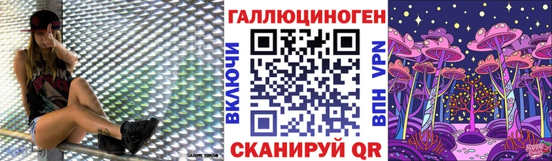 Купить где  Донецк  Псилоцибиновые грибы GOLDEN TEACHER 